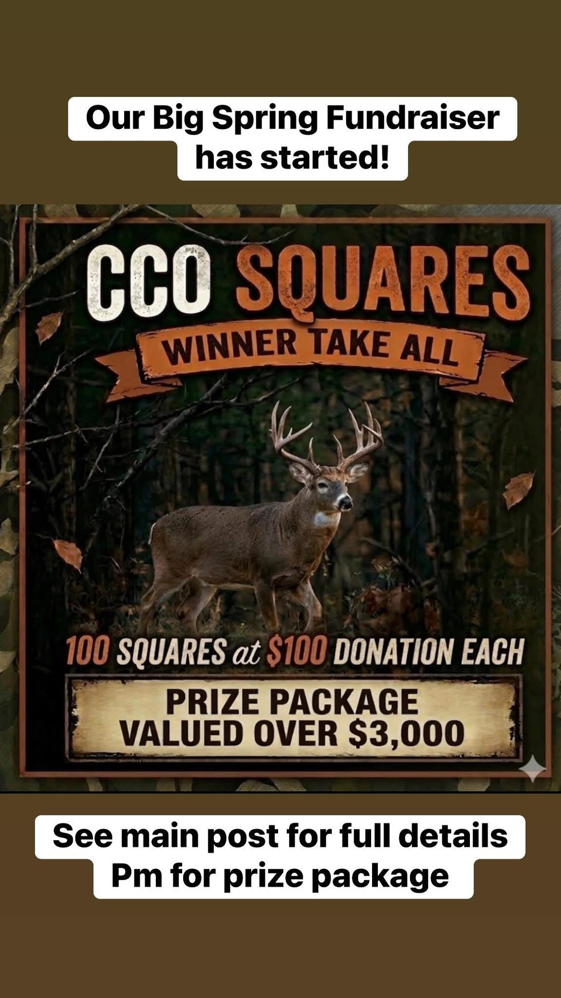 CCO Squares