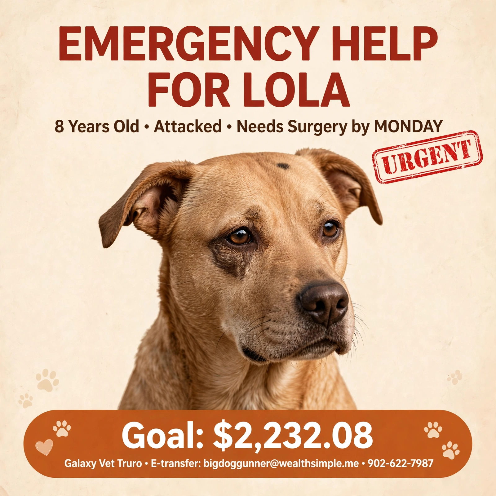 Urgent Emergency help for Lola